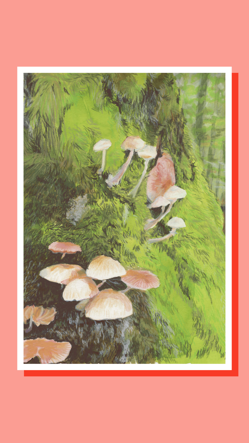 Les champignons